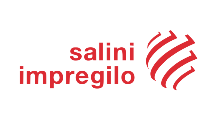 Logo Salini